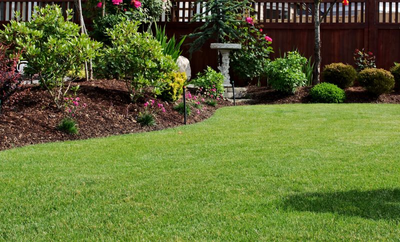 Lawn Renewal