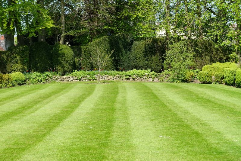 Lawn Renewal