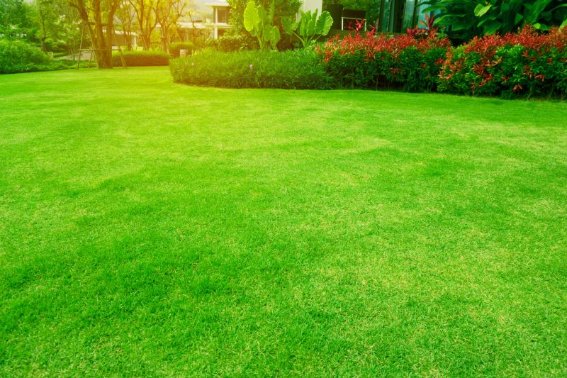 Lawn Renewal