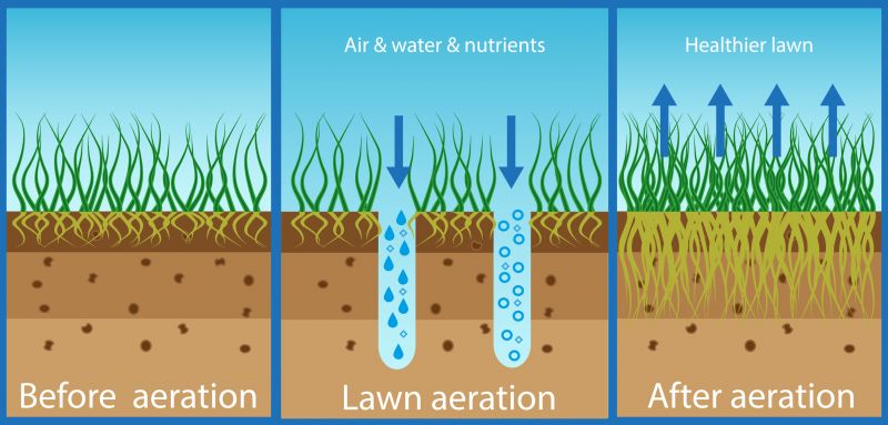 Lawn Soil Preparation