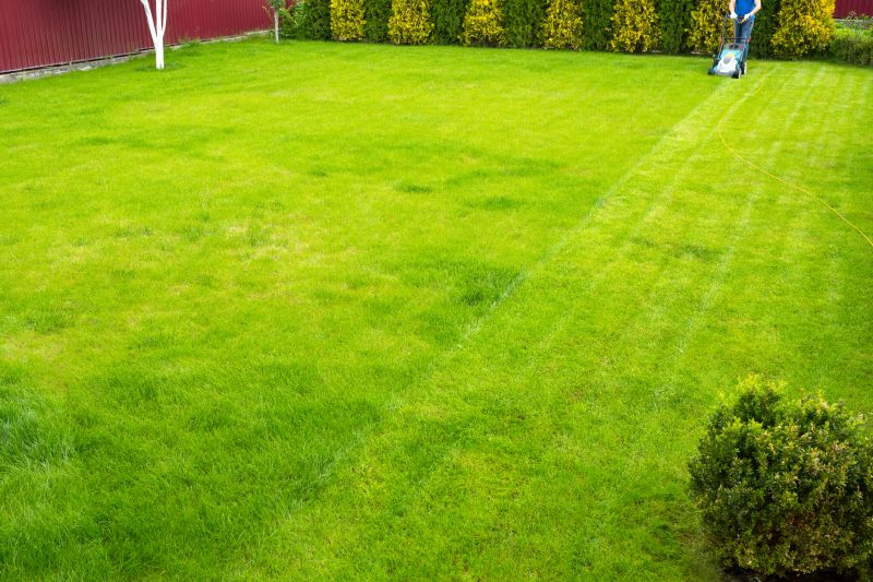 Customized Lawn Plans